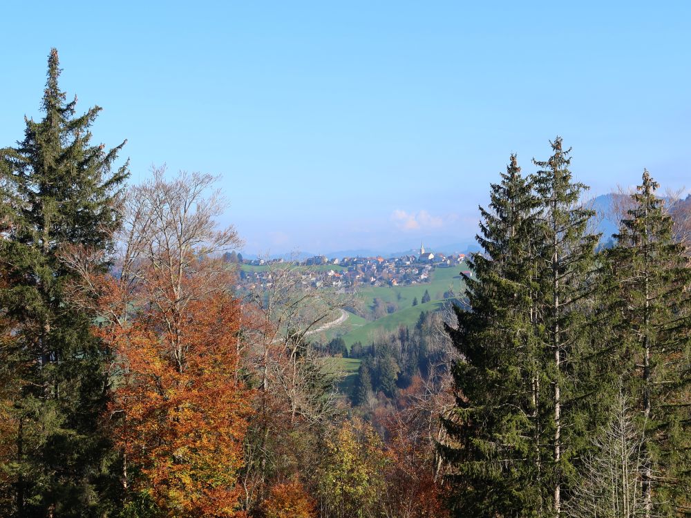 Schwellbrunn zwischen Bäumen