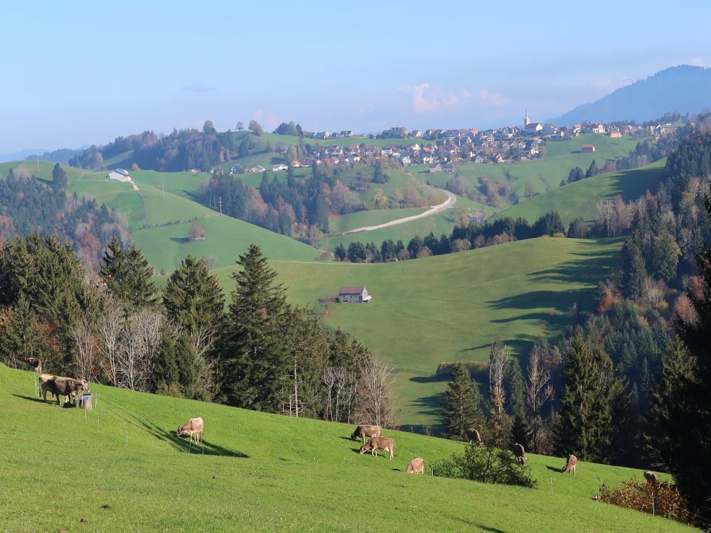 Blick Richtung Schwellbrunn