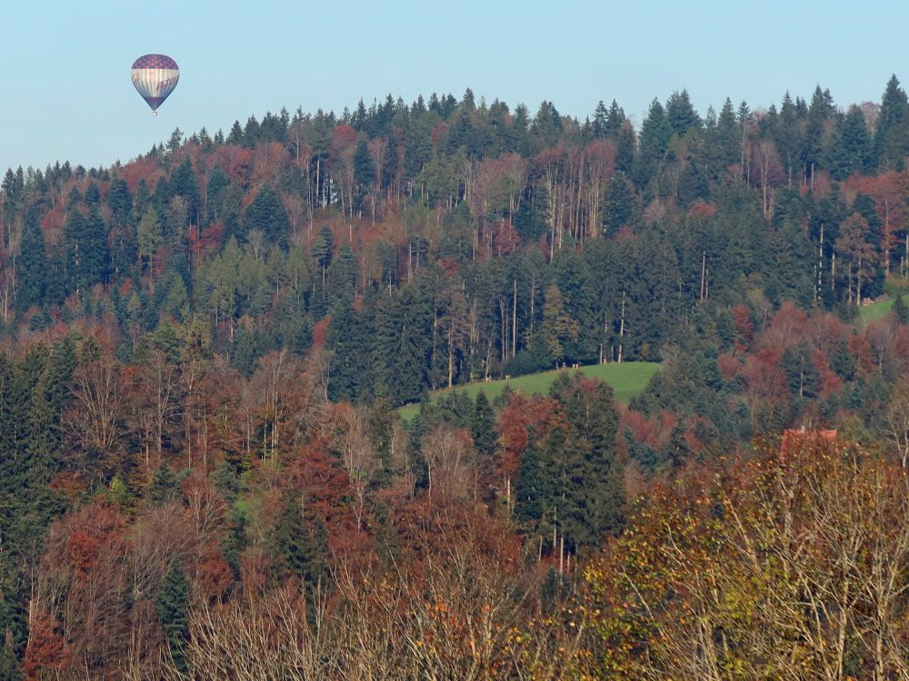 Ballon überm Herbstwald