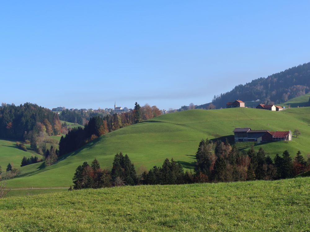 Blick Richtung Schwellbrunn