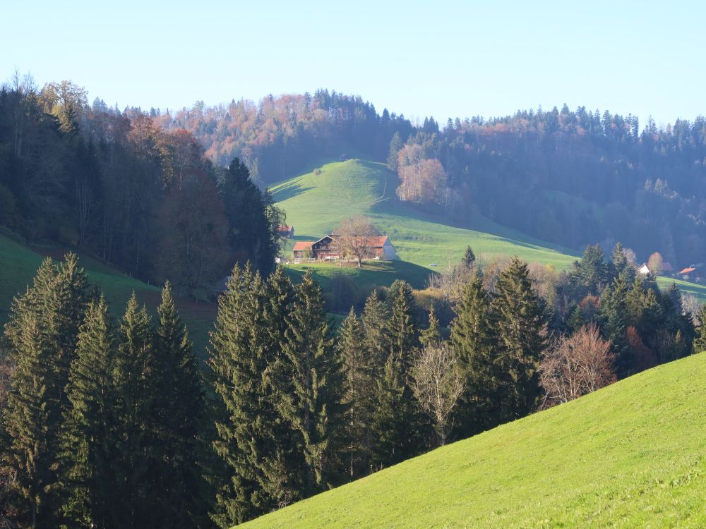 Blick Richtung Bauernhof Nord