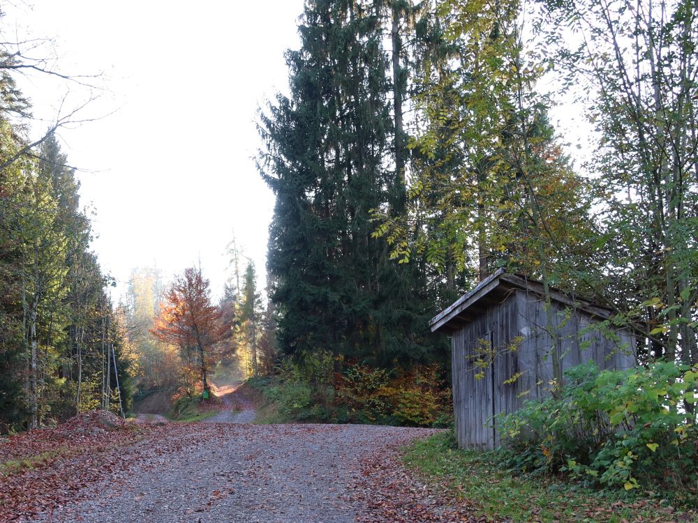 Waldweg und Scheune