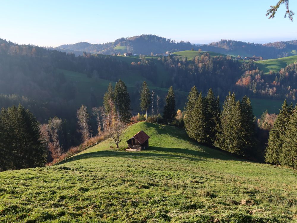 Blick Richtung Erzenberg