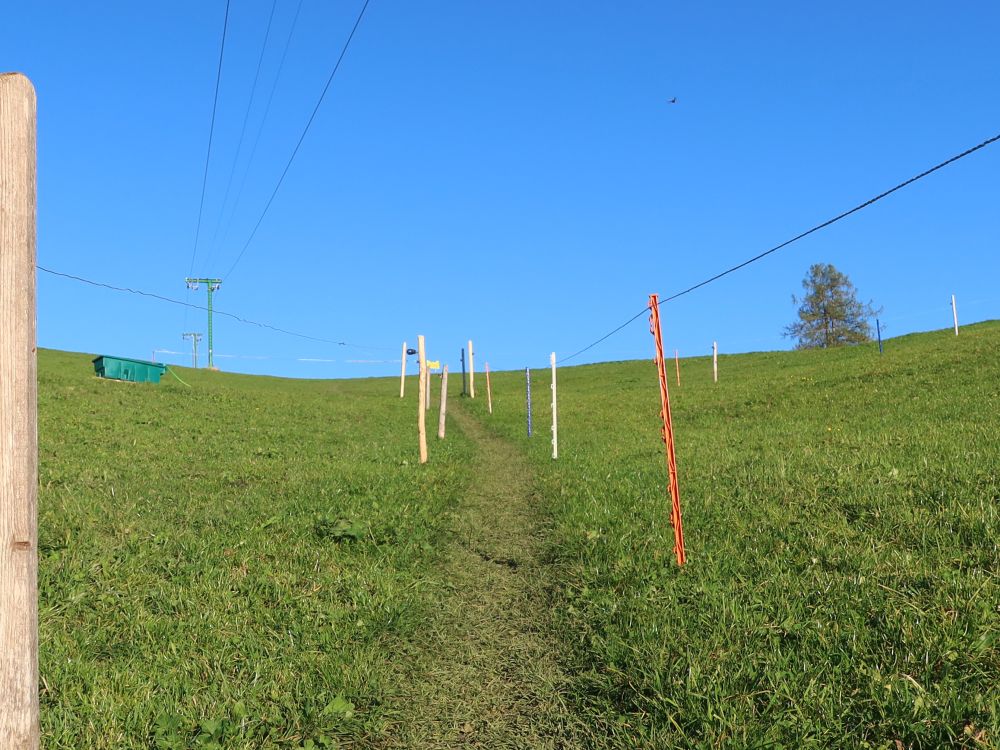 Wiesenpfad zum Sitz