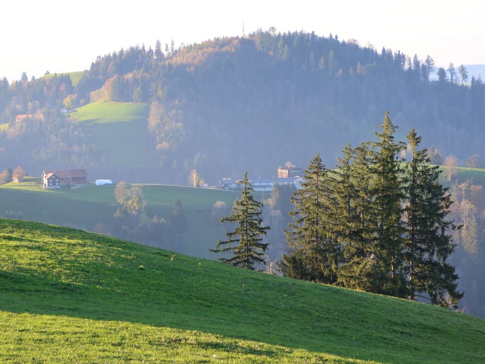 Blick Richtung Erzenberg