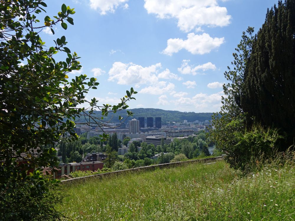 Blick auf Altstetten