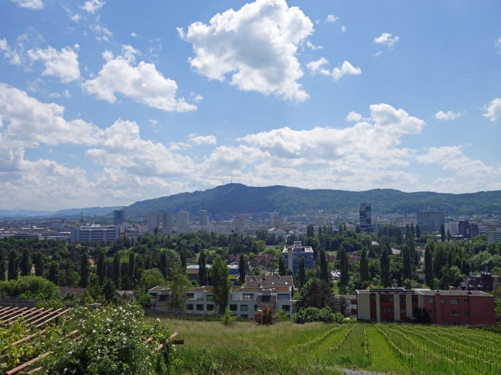Blick Richtung Zürich und Uetliberg