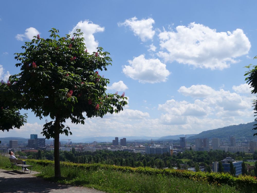 Blick Richtung Zürich