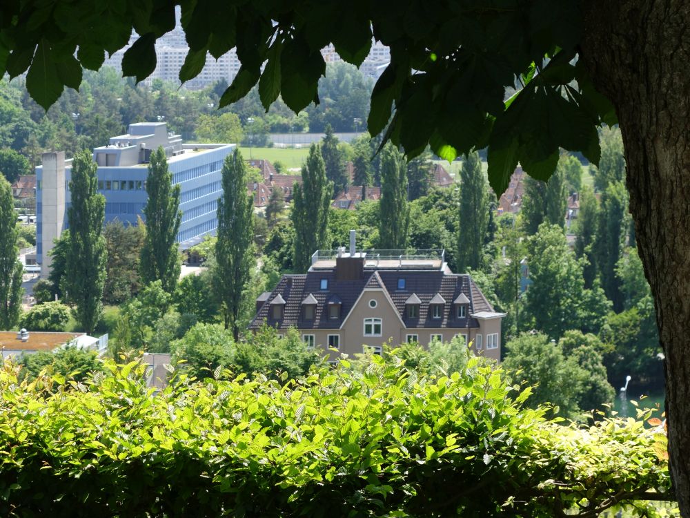 Wasserversorgung und Hönggerhof
