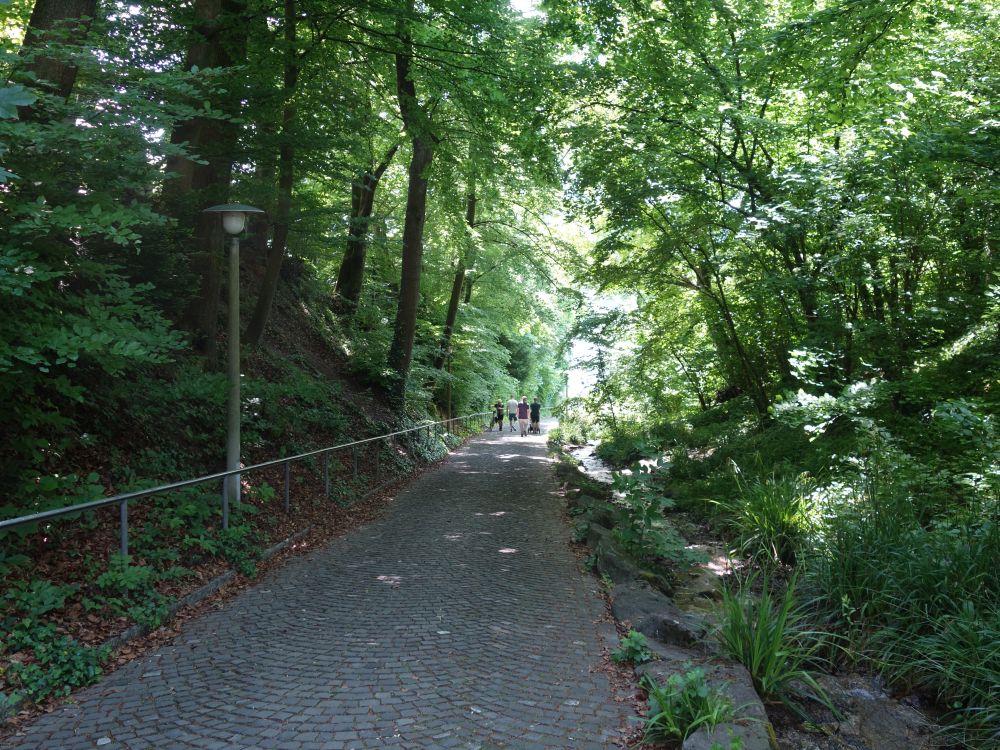Wettingertobel