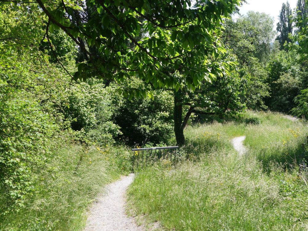 Winzerhalde