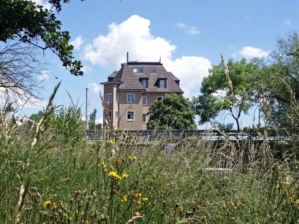 Hönggerhof