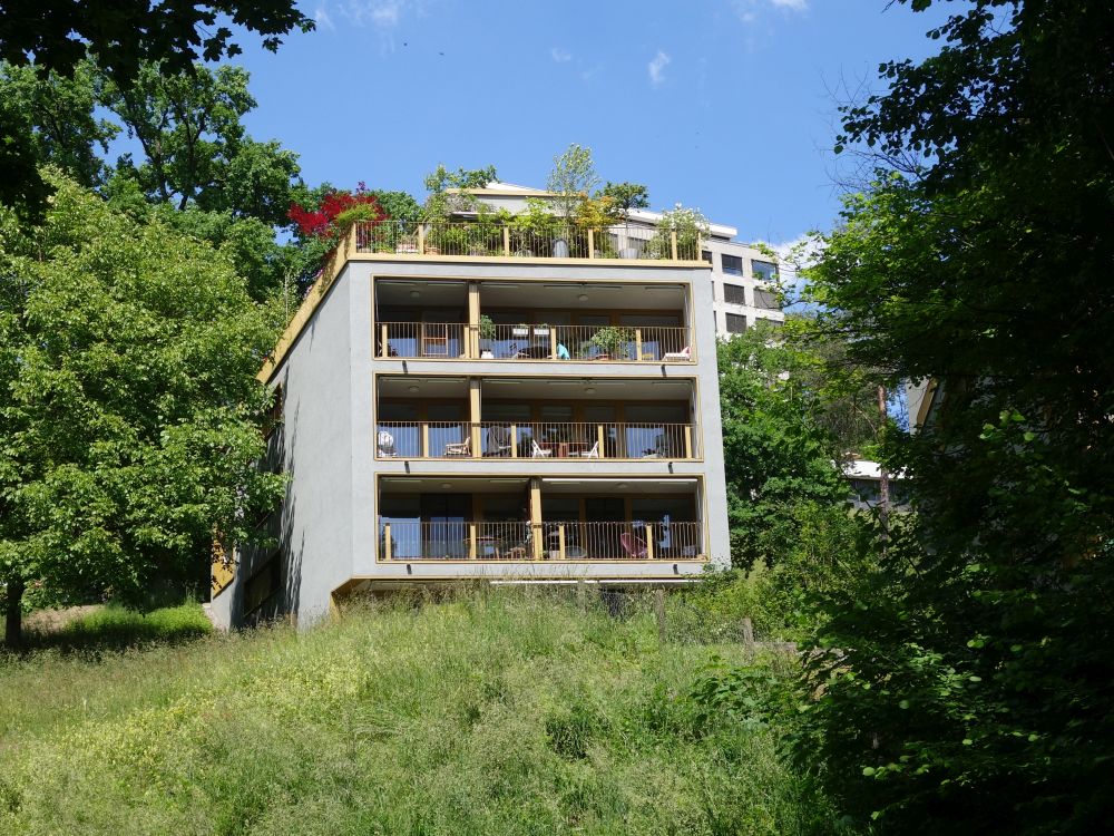 Haus oberhalb der Limmat