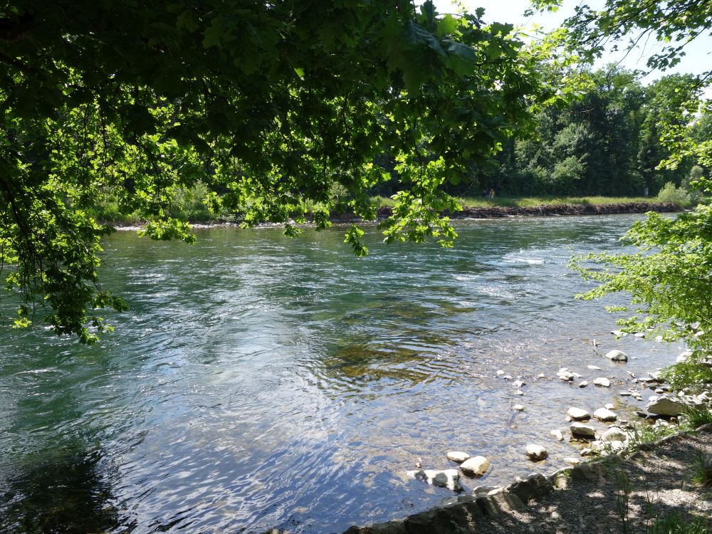 Limmat