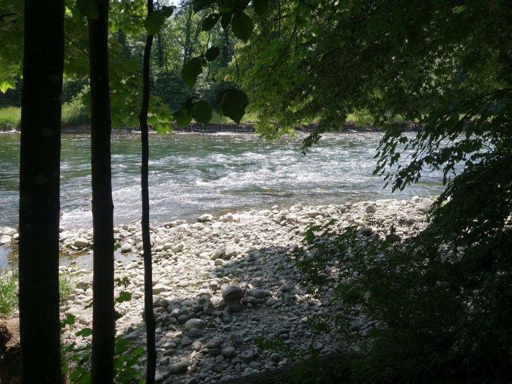Limmat
