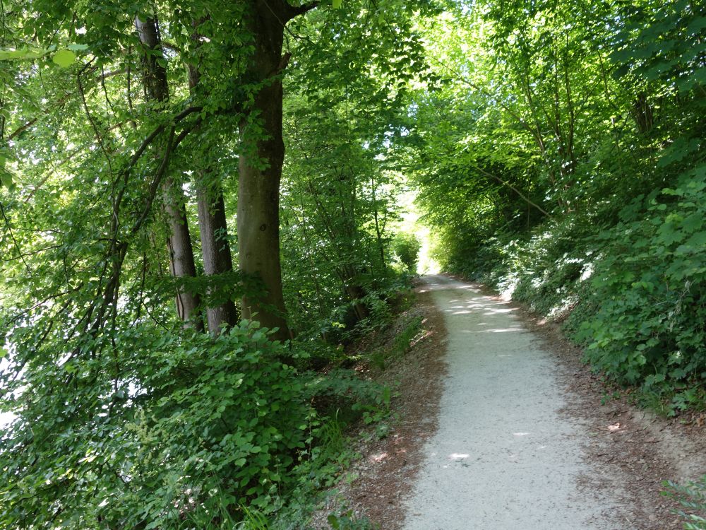 Kloster-Fahr-Weg