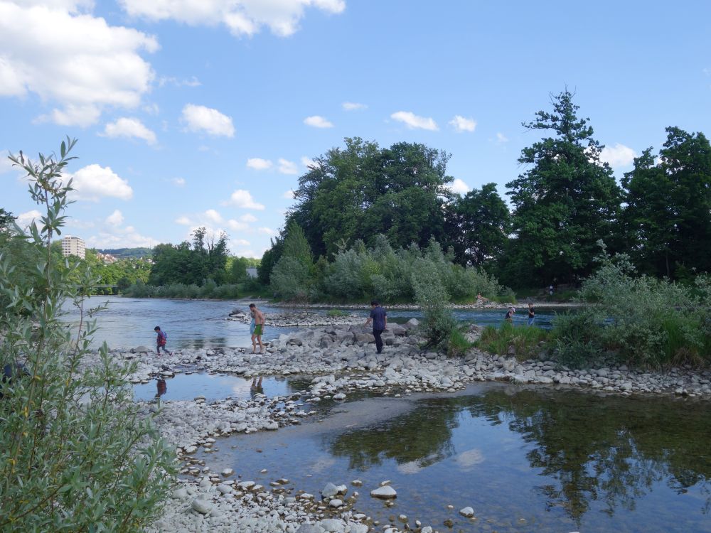 Limmat bei Oberwerd