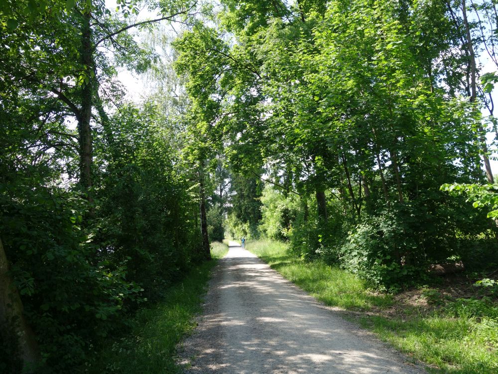 Kloster-Fahr-Weg