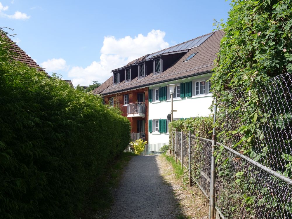 Gäsli in Oberengstringen
