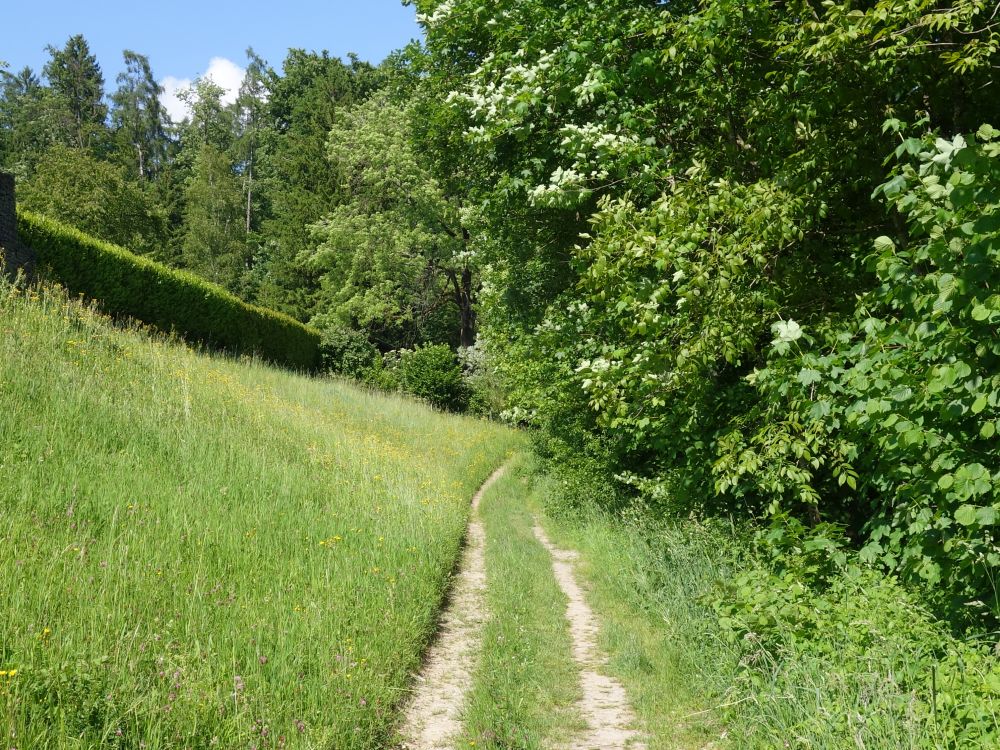 Pfad zum Loch
