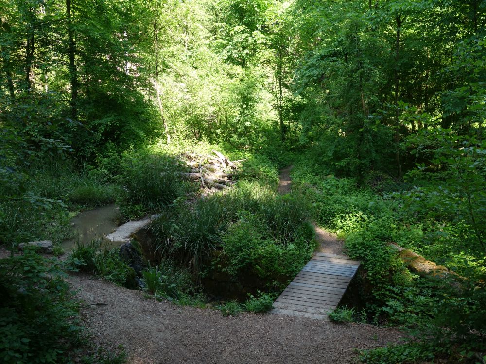 Steg am Weidtobelbach