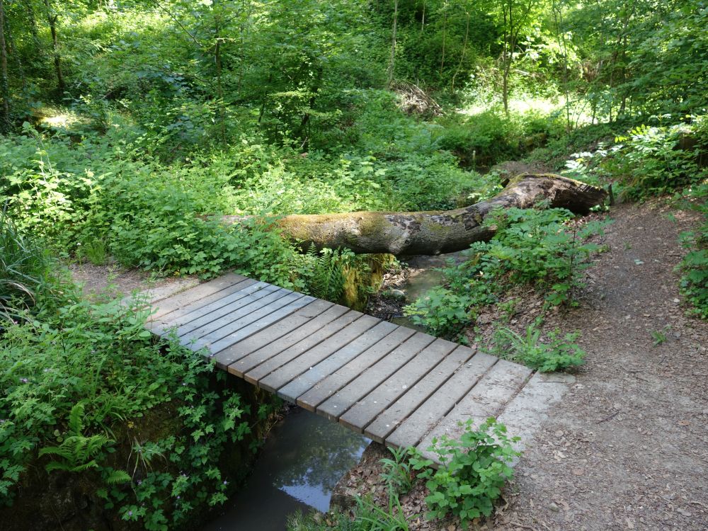 Steg am Weidtobelbach