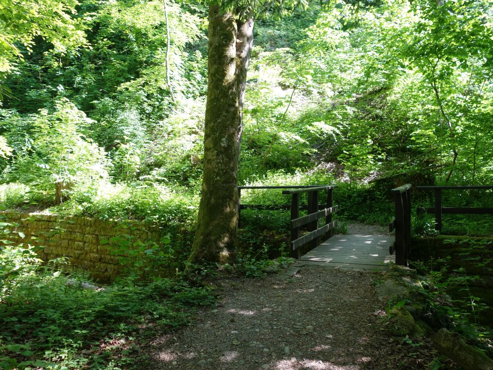 Steg am Fürtlibach