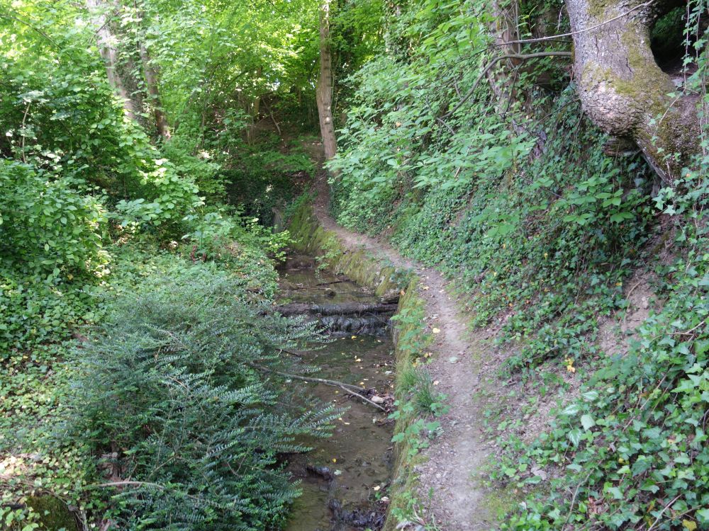 Pfad am Fürtlibach
