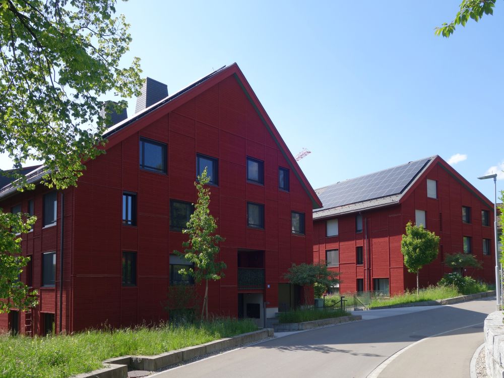 Häuser in Rütihof