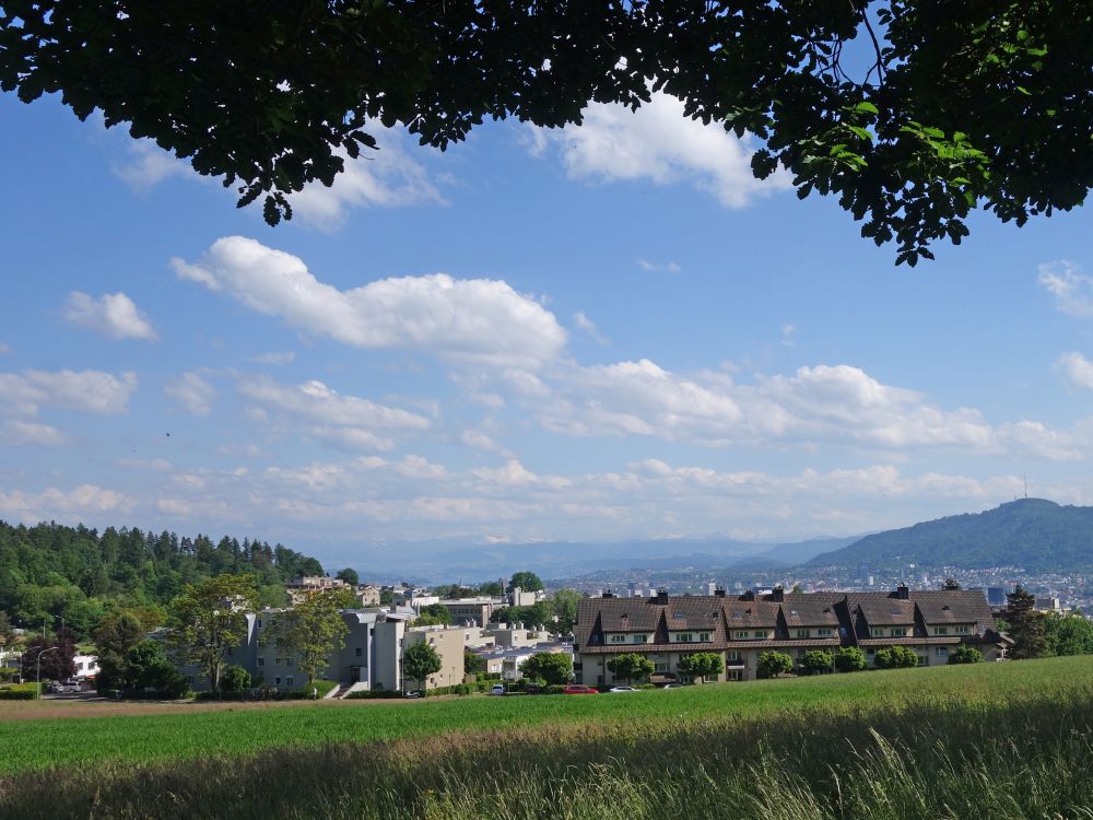 Blick auf Rütihof
