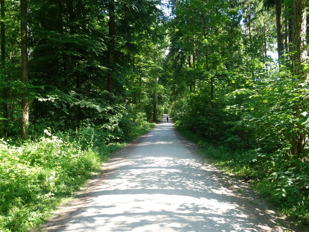 Grünwaldstrasse