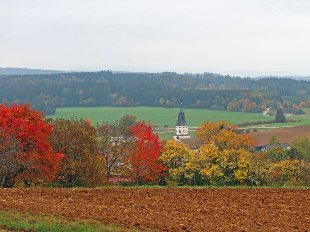 Herbstfarben mit Kirchturm