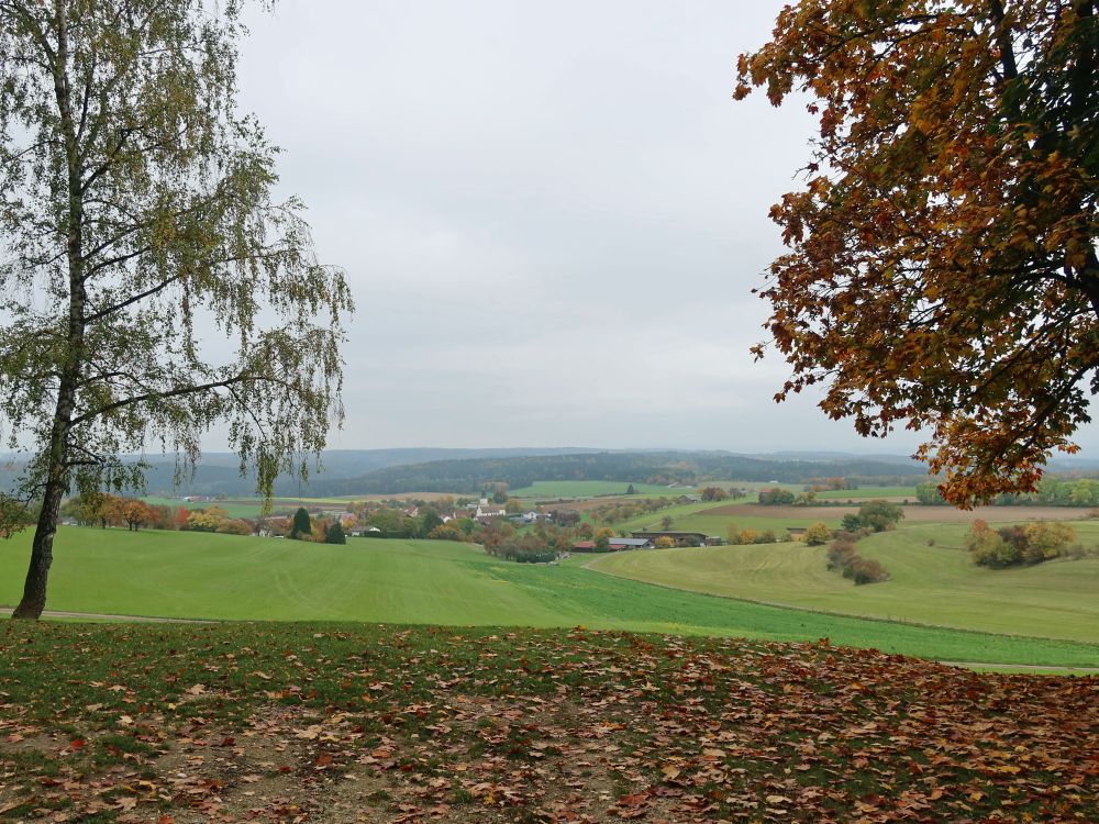 Blick Richtung Mauenheim