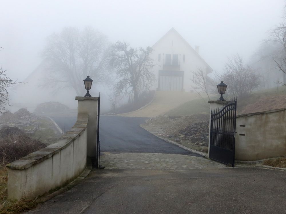 Hewenhof im Nebel