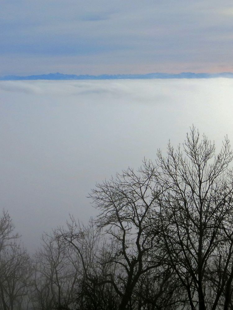 Alpenblick überm Nebel