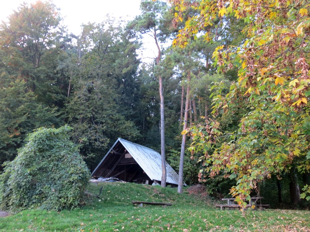 Schutzhütte bei Almen