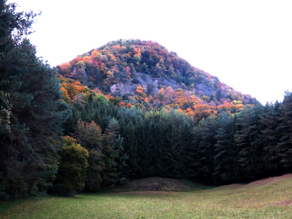 Herbstfarben am Hohenhewen