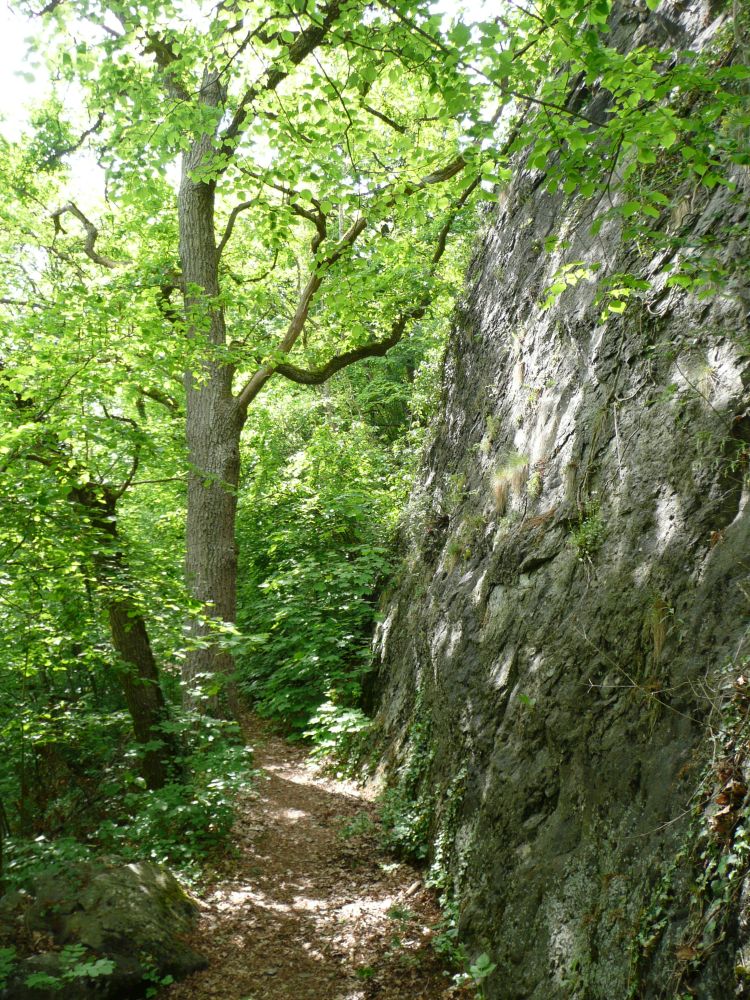 Pfad entlang der Felswand