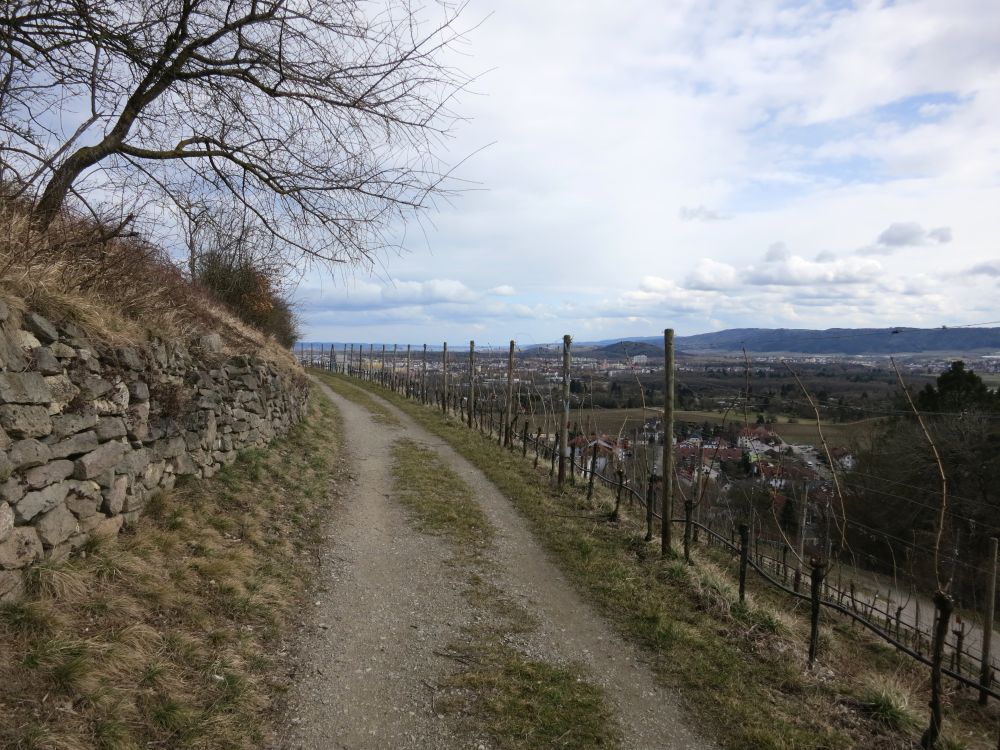 Blick von Elisabethenberg zum Bodensee