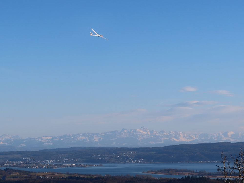Segelflugzeug über Bodensee und Säntis