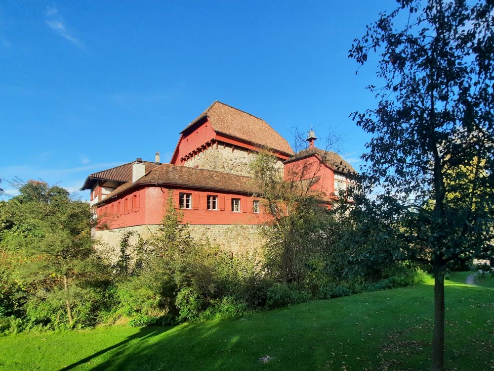 Schloss Hagenwil