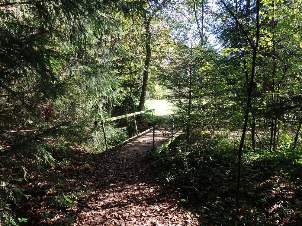 Holzsteg