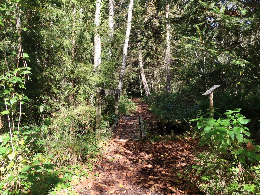 Holzsteg