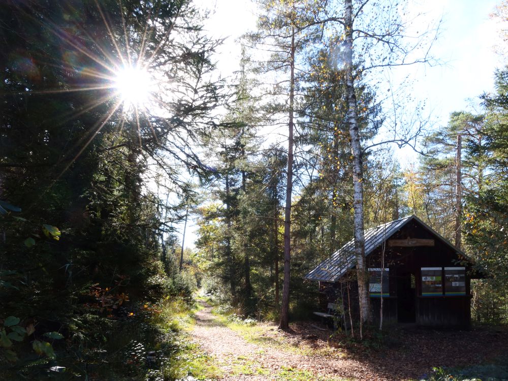 Hütte und Gegenlicht