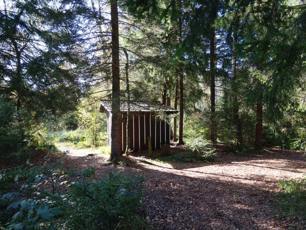 Hütte