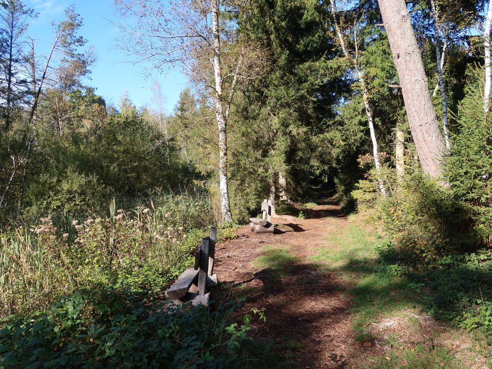 Sitzbänke