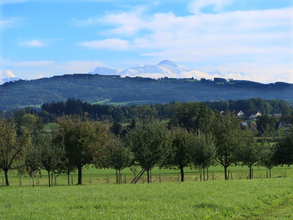 Blick Richtung Säntis