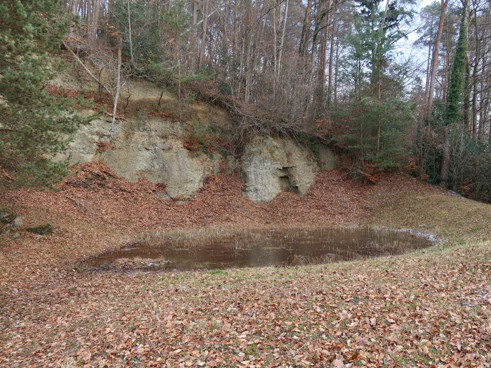 Kiesgrube Weerswilen