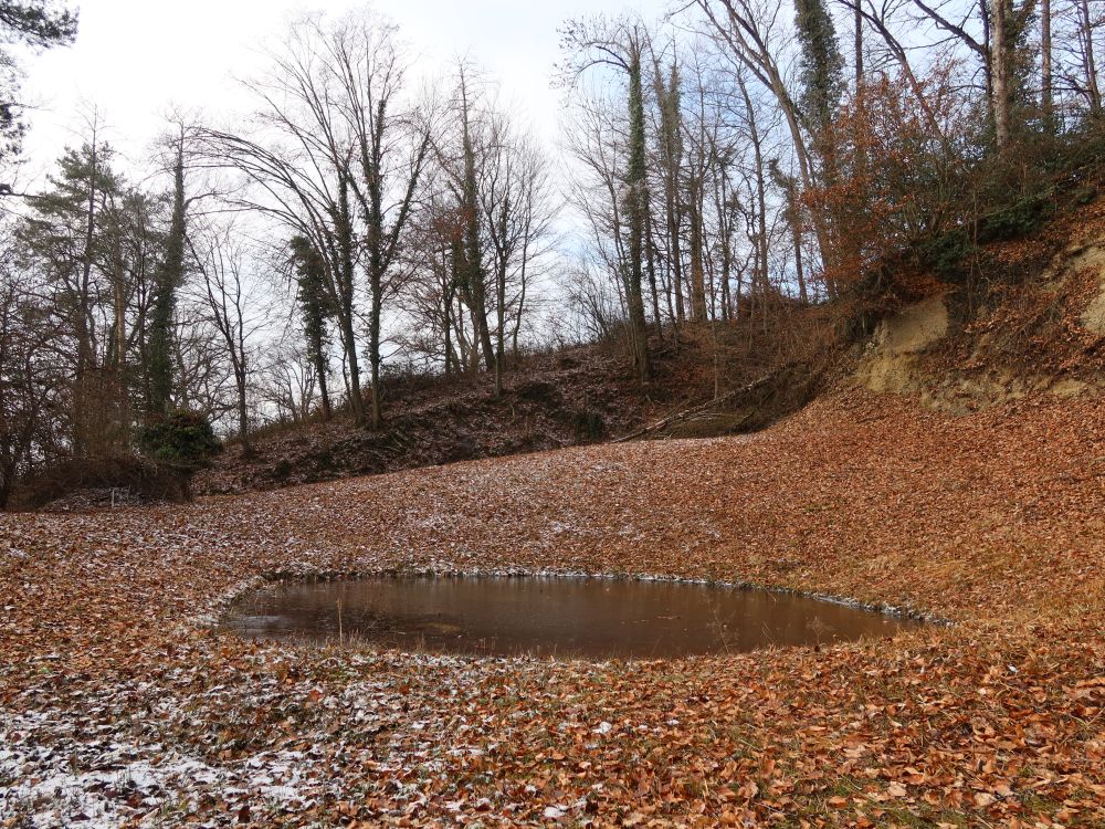 Kiesgrube Weerswilen