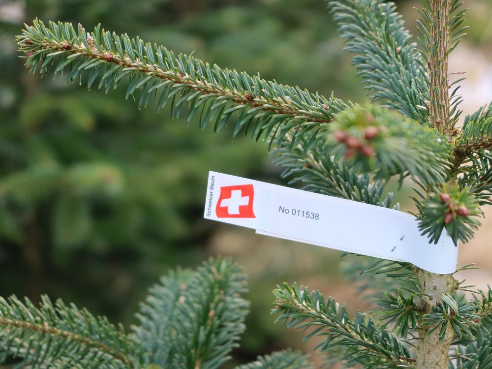 Schweizer Baum mit Nummer
